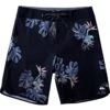 Quiksilver Highlite Scallop 19in Board Short - Men's