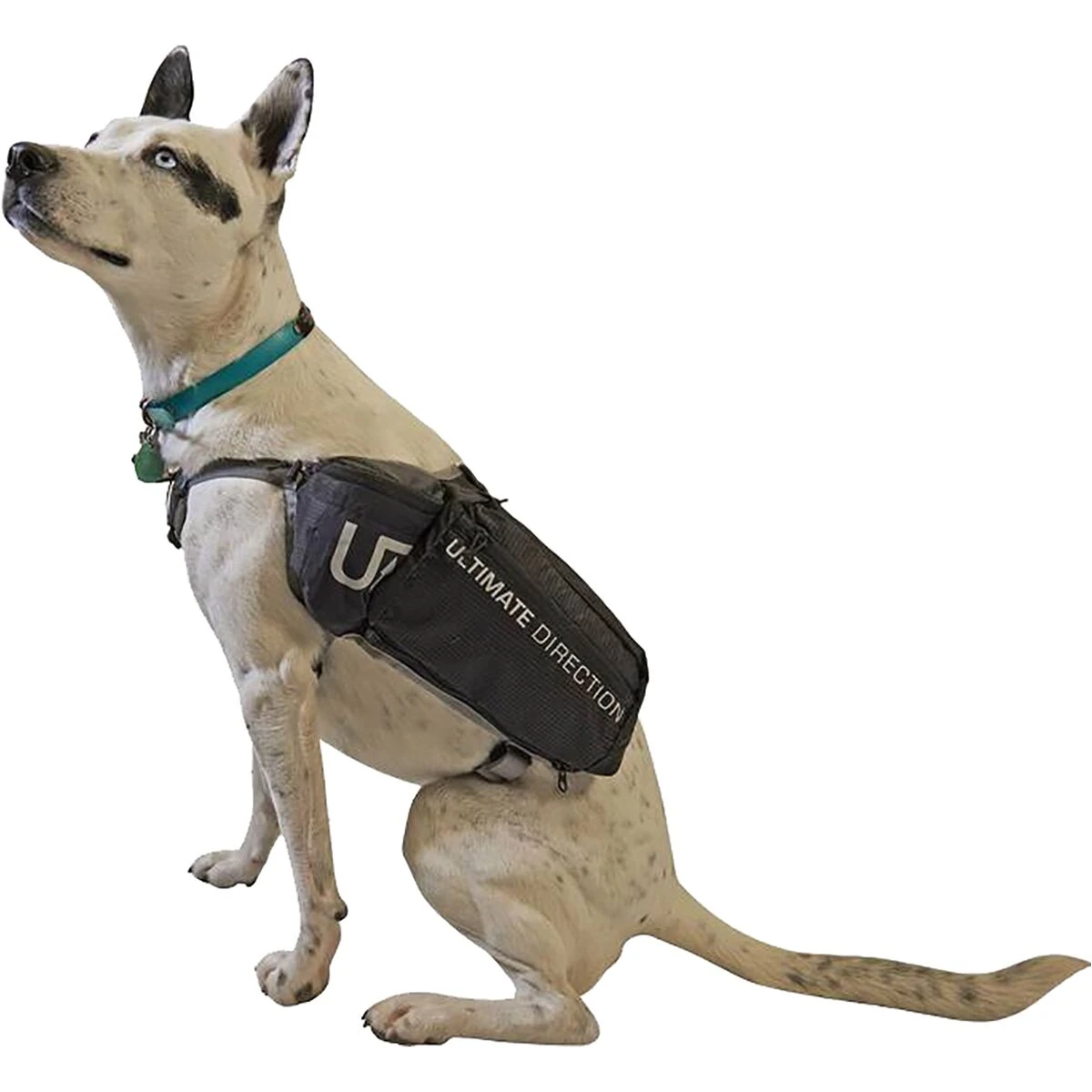 Ultimate Direction Dog Vest 4 Ultimate Direction Dog Vest - Image 4