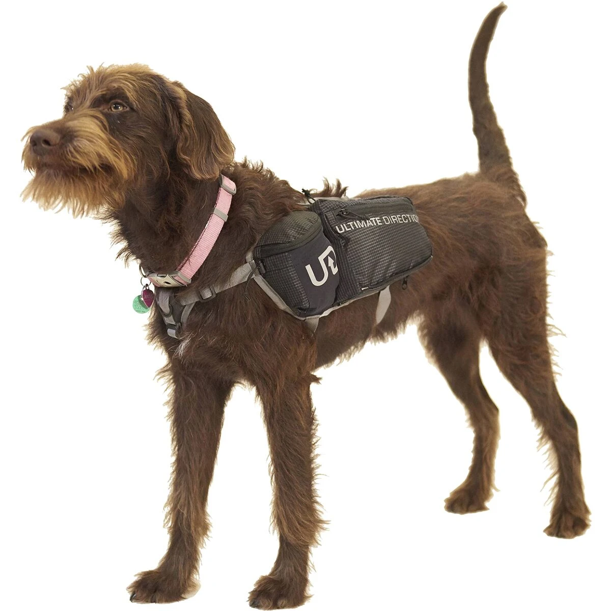 Ultimate Direction Dog Vest 9 Ultimate Direction Dog Vest - Image 9