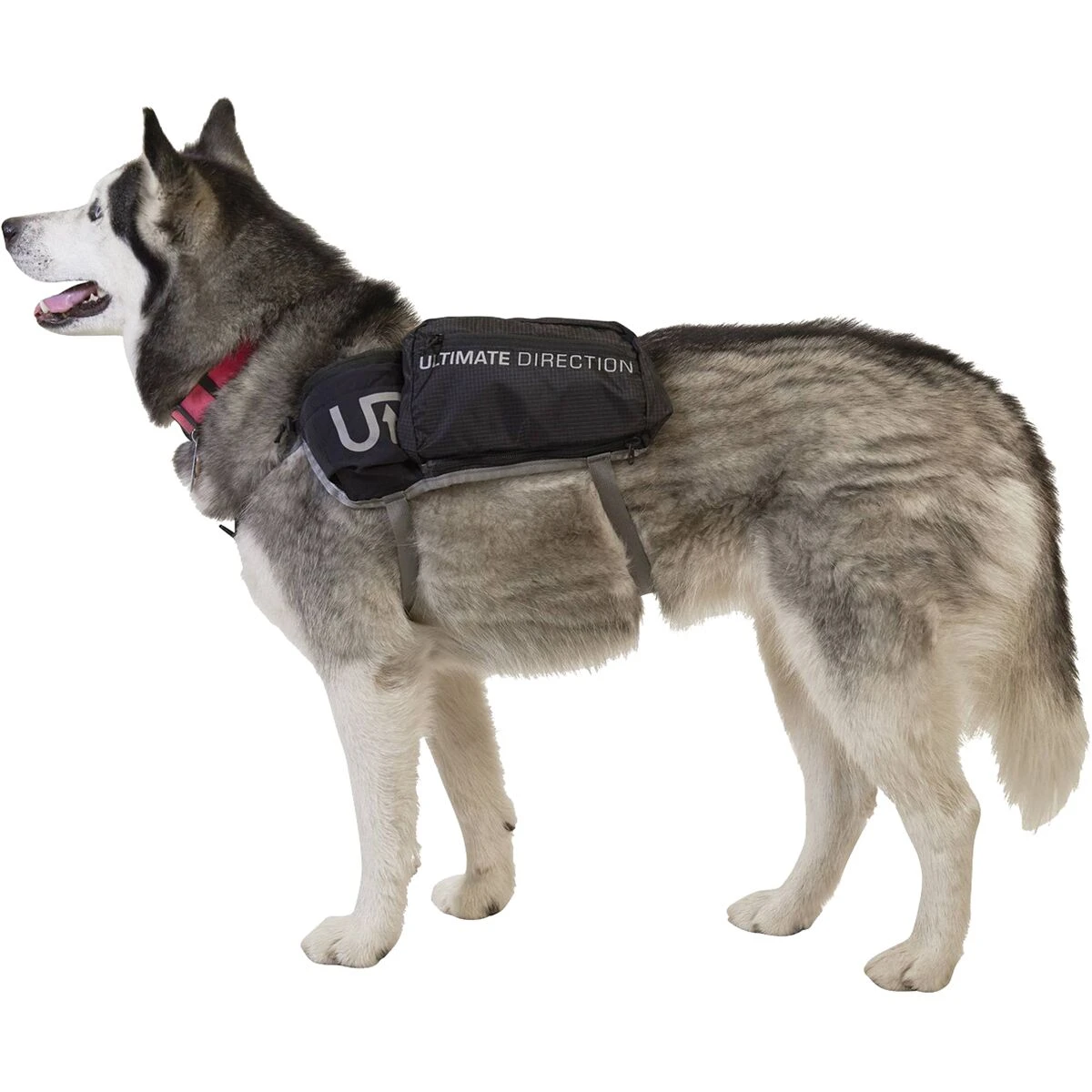 Ultimate Direction Dog Vest 3 Ultimate Direction Dog Vest - Image 3