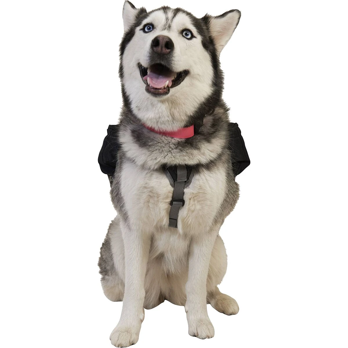 Ultimate Direction Dog Vest 10 Ultimate Direction Dog Vest - Image 10