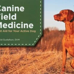 Adventure Medical Kits Adventure Dog Series Vet In A Box -Vans Outlet Shoes Store GRE D11