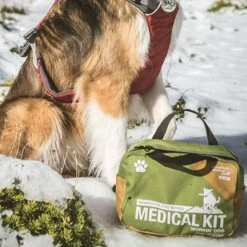 Adventure Medical Kits Me & My Dog First Aid Kit