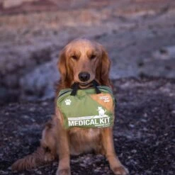 Adventure Medical Kits Adventure Dog Series Medical Kit -Vans Outlet Shoes Store GRE D8 2