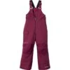 Columbia Adventure Ride Bib Pant - Toddler Boys'