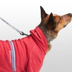 X Petco The Hoodie -Vans Outlet Shoes Store MOLLAV D2