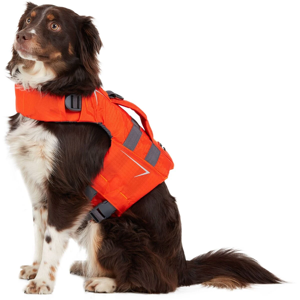 NRS Canine Flotation Device 7 NRS Canine Flotation Device - Image 7