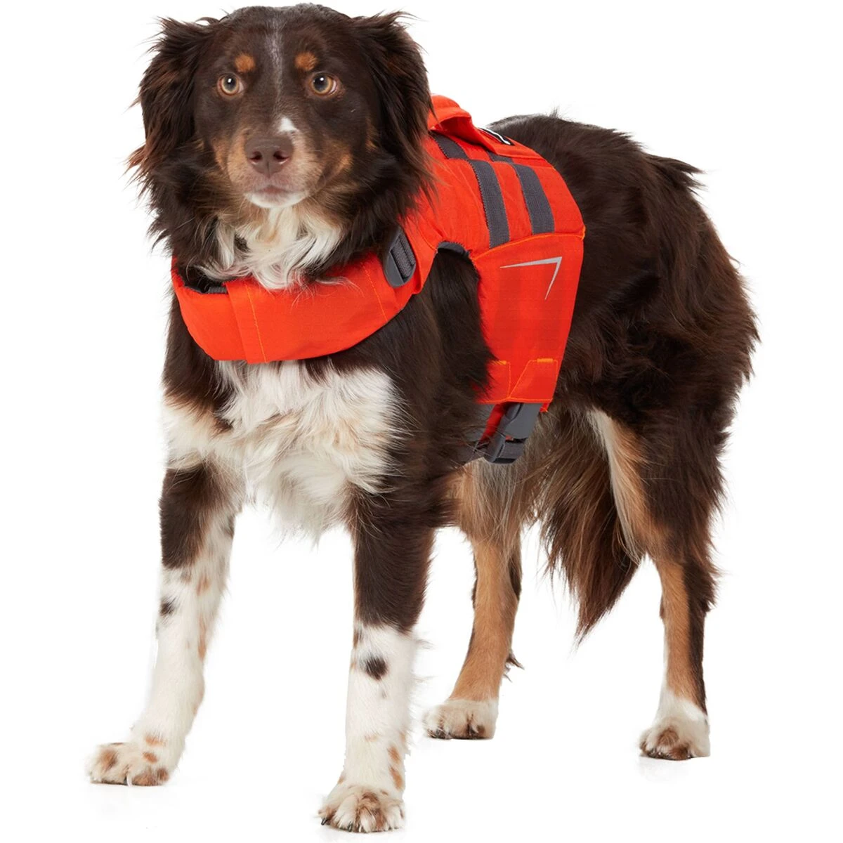 NRS Canine Flotation Device 2 NRS Canine Flotation Device - Image 2
