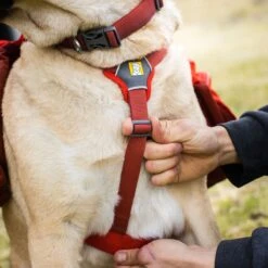 Ruffwear Palisades Dog Pack 20 Ruffwear Palisades Dog Pack -Vans Outlet Shoes Store REDSUM D10