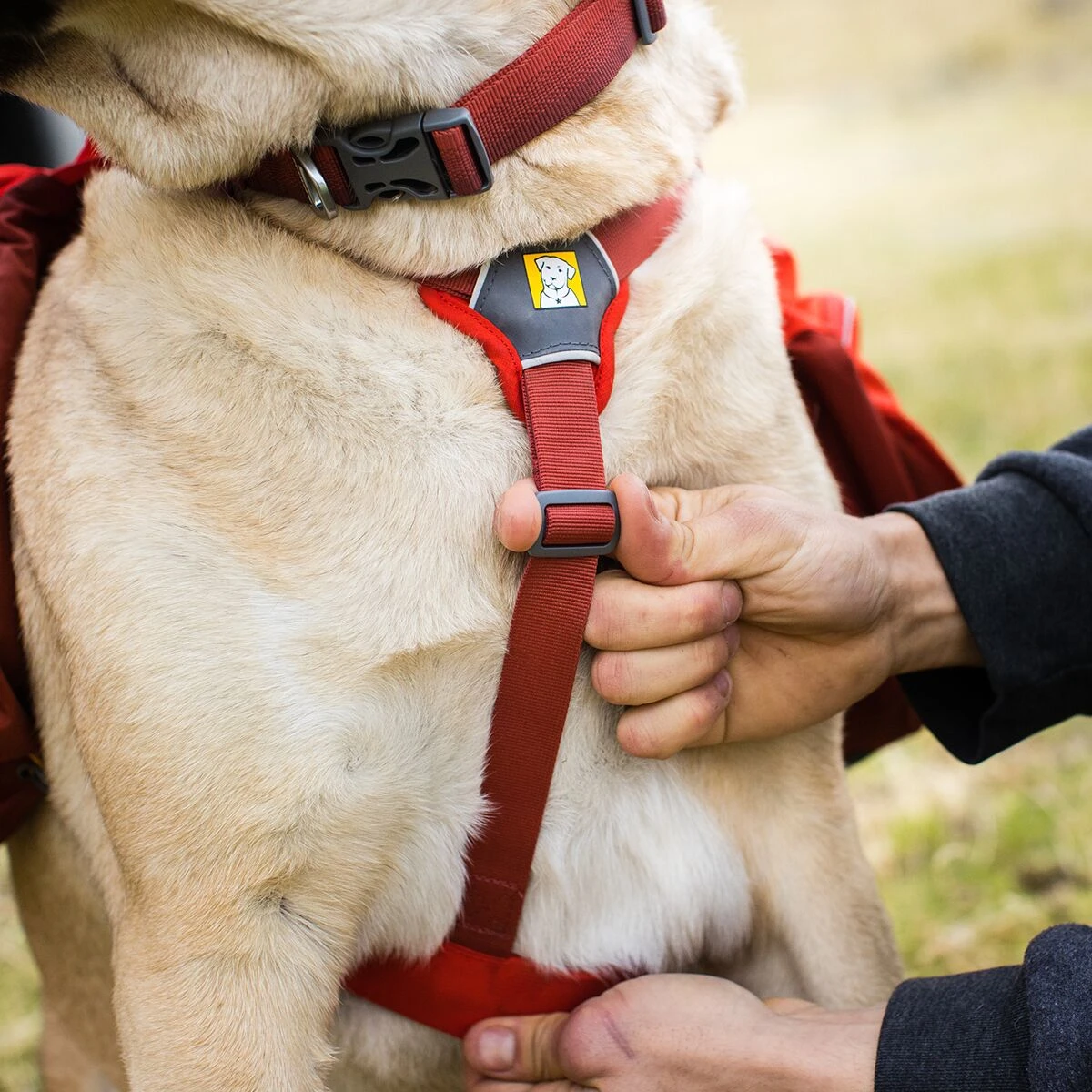 Ruffwear Palisades Dog Pack 7 Ruffwear Palisades Dog Pack - Image 7