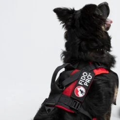 Panza Harness + Deployable Emergency Dog Rescue Sling -Vans Outlet Shoes Store RED D8