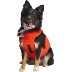 X Petco The Dog Flotation Vest -Vans Outlet Shoes Store SPIORA