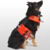 X Petco The Dog Flotation Vest