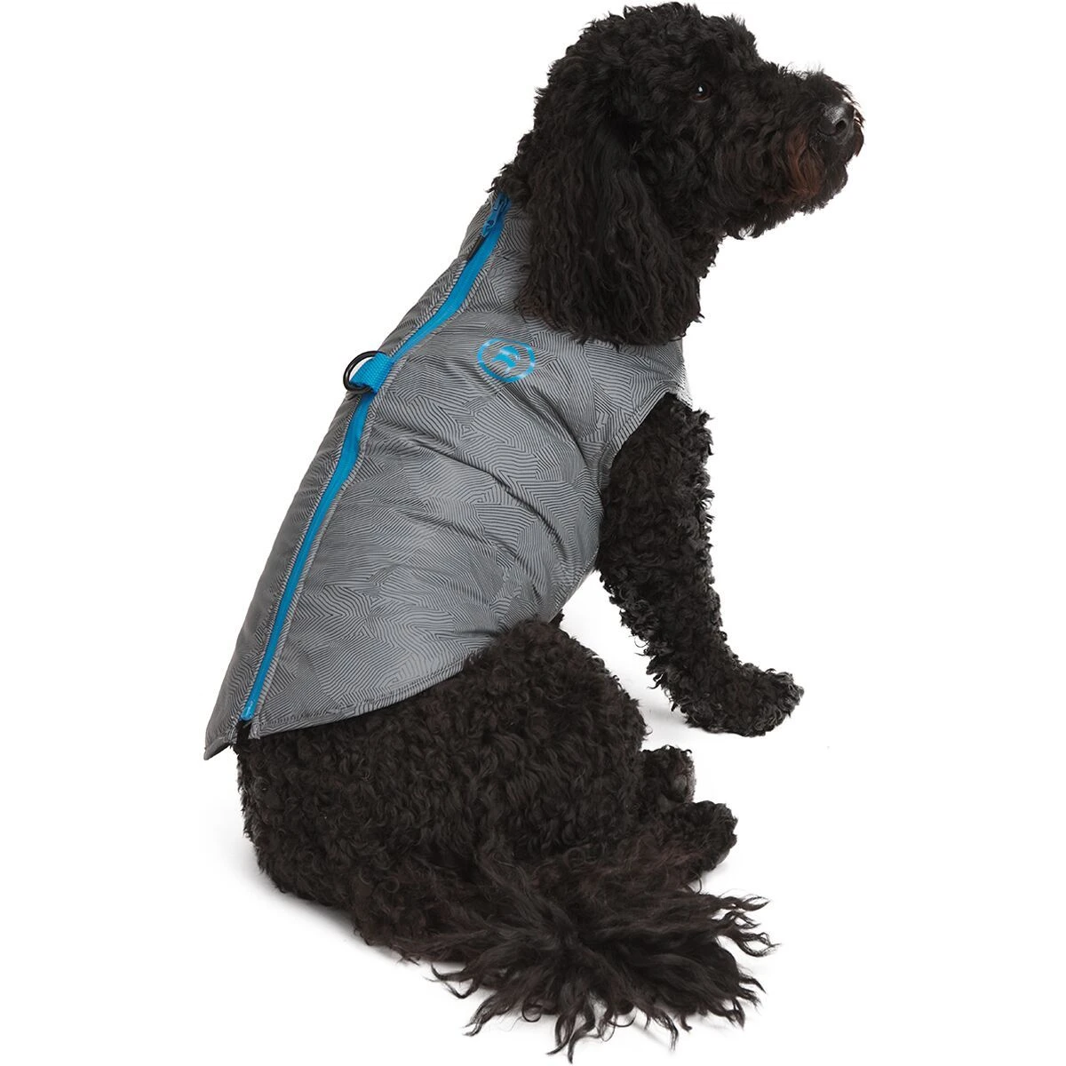 X Petco The 2-in-1 Harness Jacket 3 X Petco The 2-in-1 Harness Jacket - Image 3