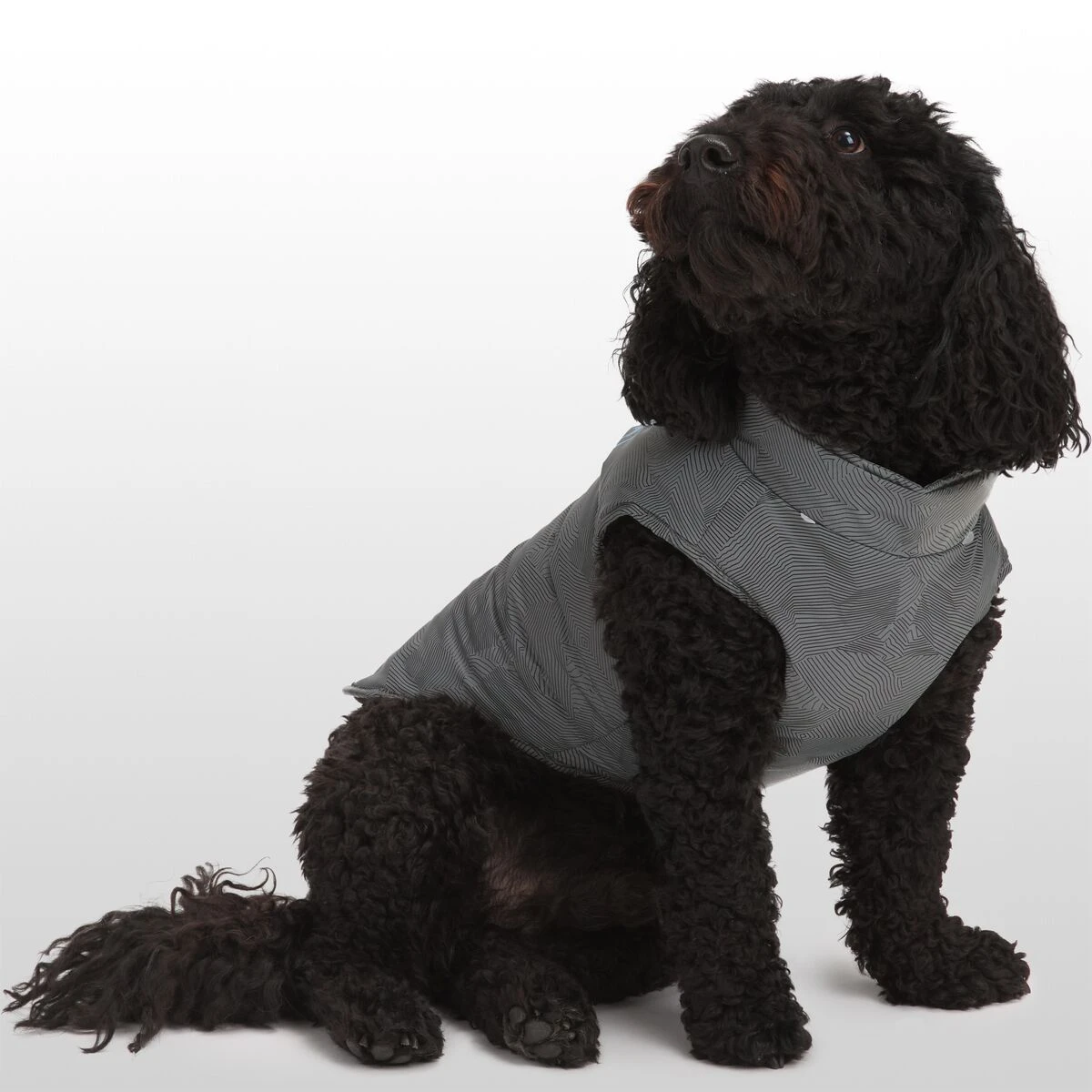 X Petco The 2-in-1 Harness Jacket 5 X Petco The 2-in-1 Harness Jacket - Image 5