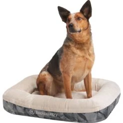 X Petco The Dog Bed -Vans Outlet Shoes Store TURTOPPRI