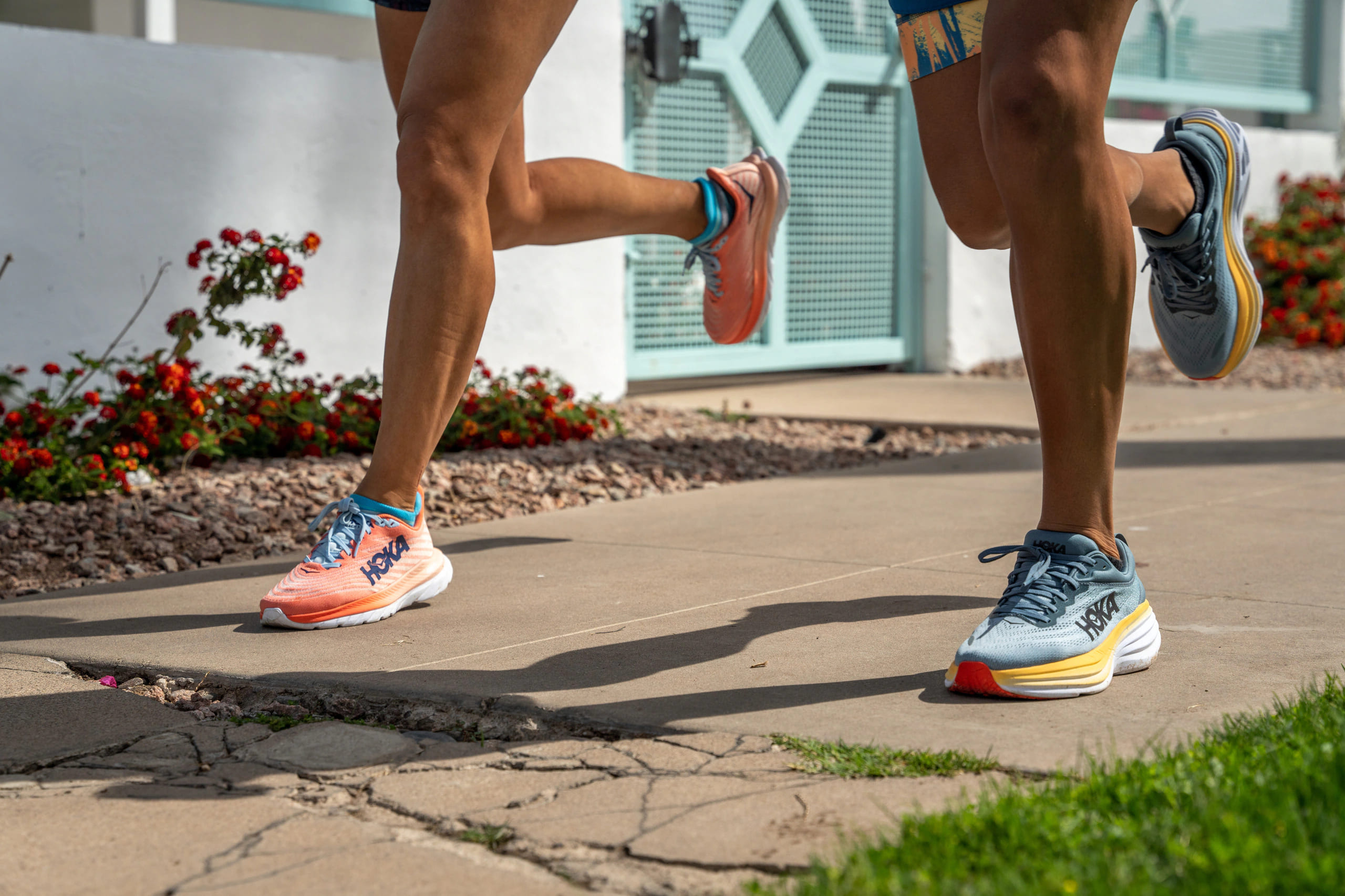 Vans Outlet Shoes Store -Vans Outlet Shoes Store tuttle 03272022 0886 web med